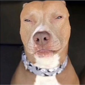 Meet your Posher, Raegen